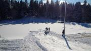 IMG20160130114206-235